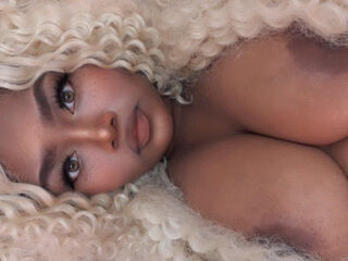 free video chat room BarbieThiara