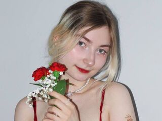 streaming live cam SandaPlocek